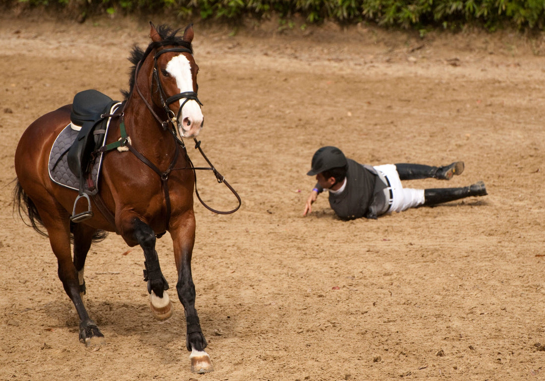 Calming Horses: Tackling Stress and Anxiety with Supplements