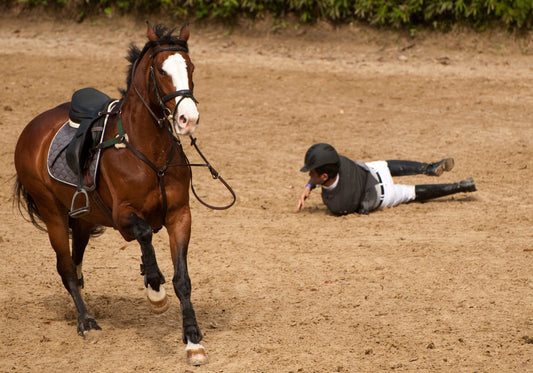Calming Horses: Tackling Stress and Anxiety with Supplements