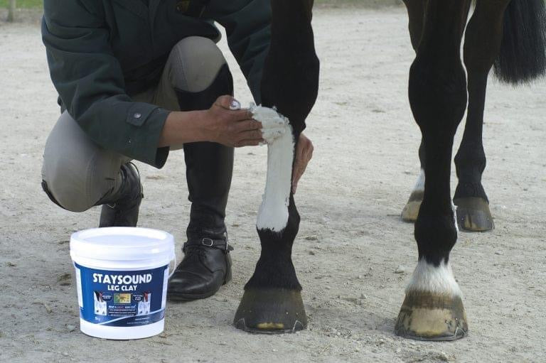 Cooling-Recovery-and-Leg-Care-for-Sport-Horses-Why-TRM-STAYSOUND-Matters Rising Equine