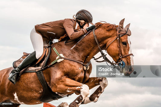 Preparing Your Horse for Competition Success